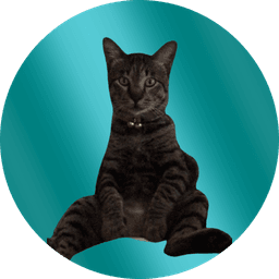 PacoMovies icon